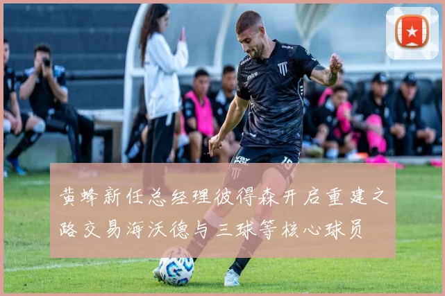 黄蜂新任总经理彼得森开启重建之路交易海沃德与三球等核心球员